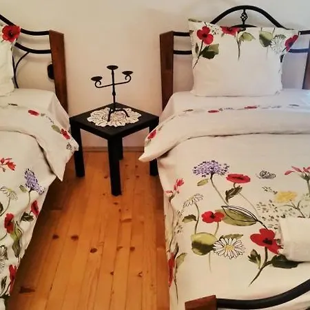 The Old House Guest And Apartment